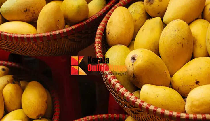 Japan bans mango imports from India