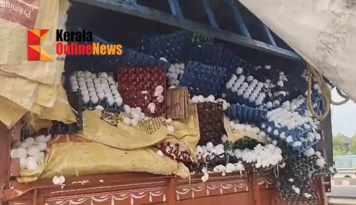 Accident: A Taurus truck collided with a lorry carrying eggs; lakhs of eggs destroyed