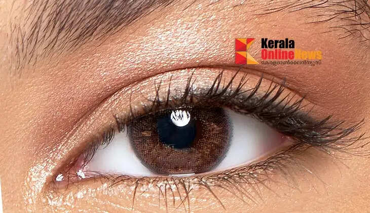brown colour eye lens