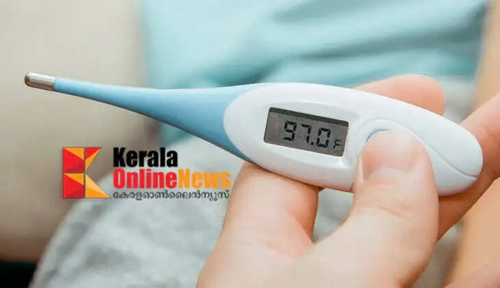 Another fever death in the state; Kollam native who was undergoing treatment dies
