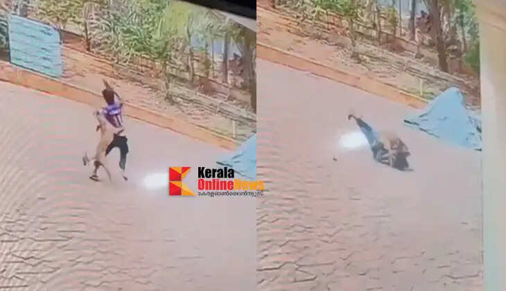 A stray dog ​​bit and mauled a seventh-grader who was playing in Panur's Kallikandi
