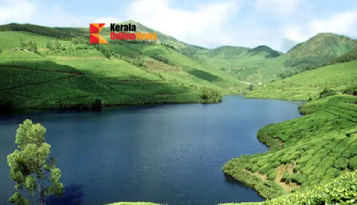 An opportunity to see the rolling hills of Mattupetty; priority given to the safety of elephants.