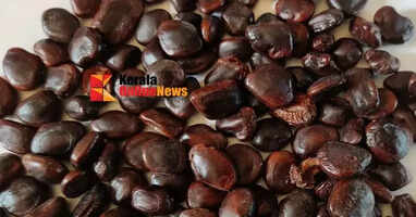 The immune power hidden in tamarind: Is it enough to fight arthritis?