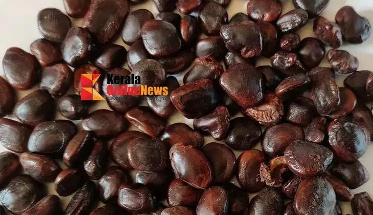 The immune power hidden in tamarind: Is it enough to fight arthritis?