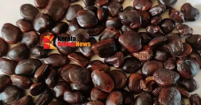 The immune power hidden in tamarind: Is it enough to fight arthritis?