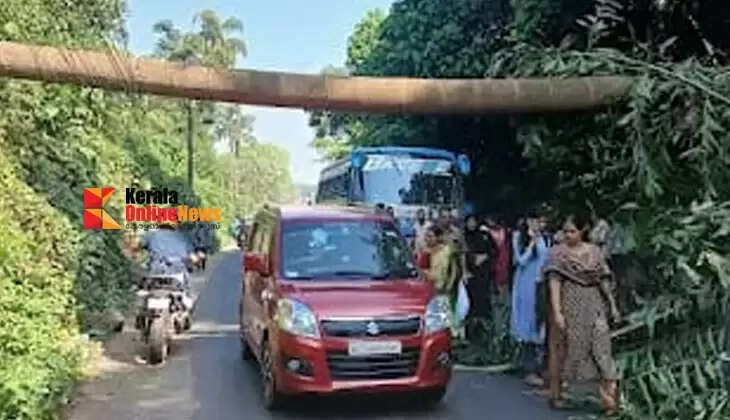 A palm tree fell near the Valapattanam toll booth in Kannur, disrupting traffic.