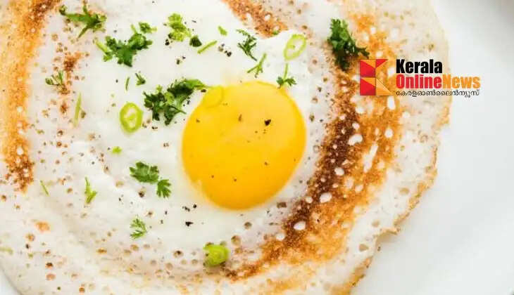 Egg Dosa