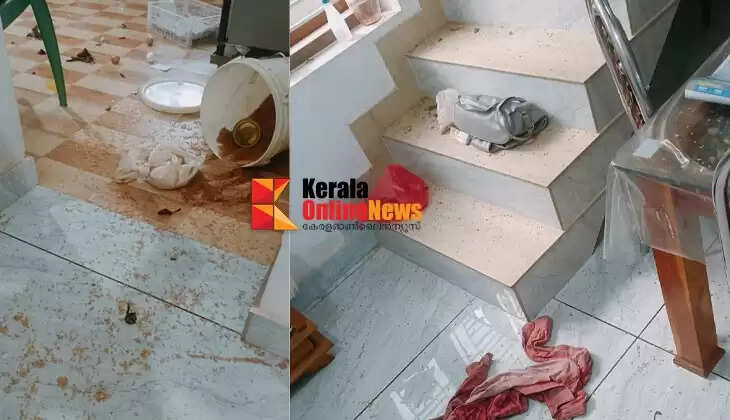 Locals in Morazha Kanul struggle with monkey nuisance: Monkeys enter homes and wreak havoc