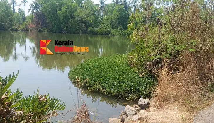 Cabinet approved tender for bridge bridge at Payyannur Pati