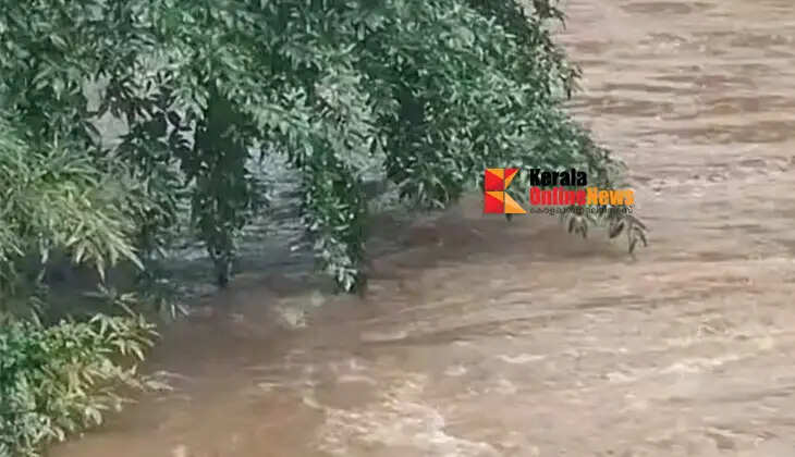 A young man has gone missing in the river near Thondi Bridge, Peravoor.