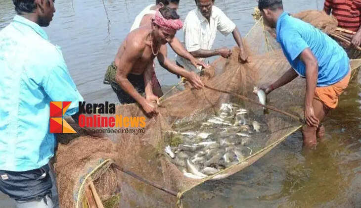Fishing during spawning season in inland waters banned; Fisheries Department urges compliance