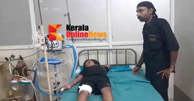 A 9 year old boy who came to visit Sabarimala was injured in a wild boar attack