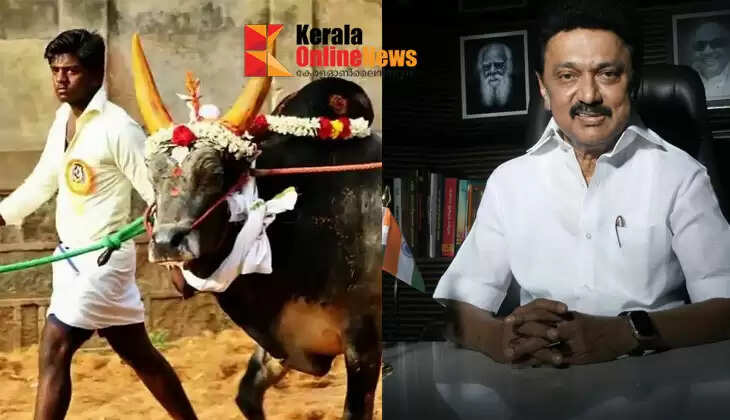 MK Stalin announces government jobs for those who win Jallikattu