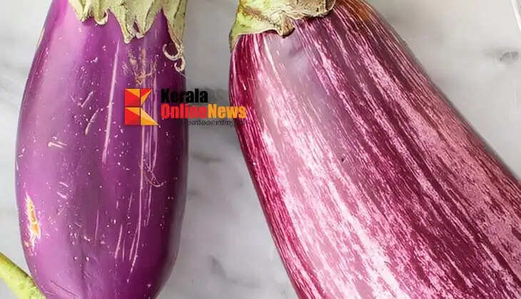 eggplant