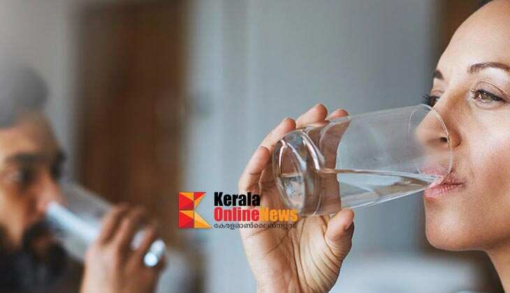 വെള്ളം കുടിക്കാൻ മടിയാണോ? ശരീരത്തിൽ ജലാംശം നിലനിർത്താൻ ഈ വഴിയുണ്ട്