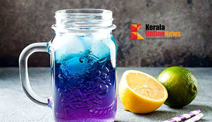 കണ്ണിനും മനസ്സിനും കുളിർമയേകും ശംഖുപുഷ്പം ജ്യൂസ്