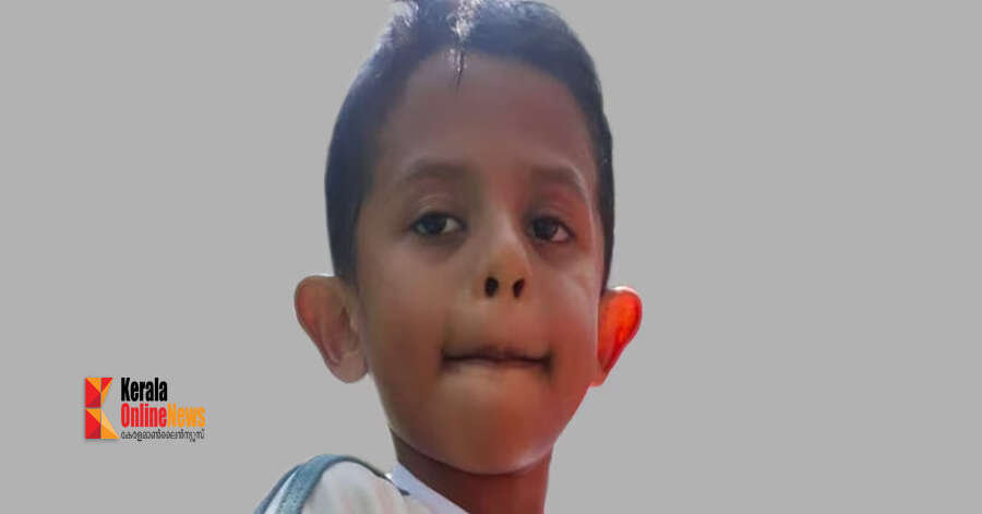 വിനോദയാത്രയ്ക്കിടെ പ്രീ സ്‌കൂള്‍ വിദ്യാര്‍ത്ഥി വെള്ളച്ചാലില്‍ വീണു മരിച്ചു