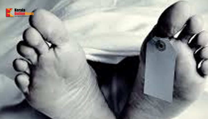 കൊല്ലത്ത് വൈദ്യുതാഘാതമേറ്റ് വിദ്യാർത്ഥി മരിച്ചു