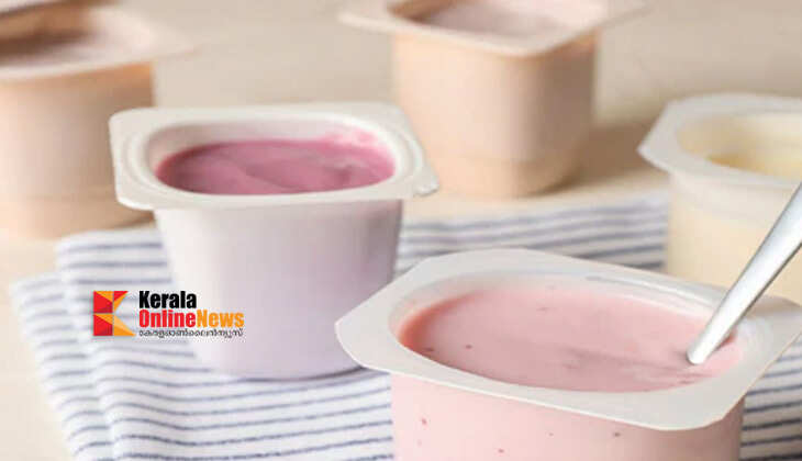 വേനൽ കാലത്ത് ഫ്ലേവേർഡ് യോഗർട്ട് ഒഴിവാക്കാം ; ശ്രദ്ധിക്കേണ്ട കാര്യങ്ങൾ